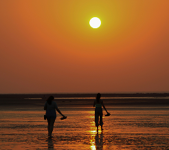 Alibaug (1)